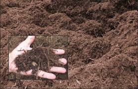 We can help give you the benefits of food waste recycling hassle free. Mulch Compost Delivery In Springfield Va 703 339 8095 For Mulch Delivery And Pick Up For All Your Residential And Commercial Construction Jobs Mulch Shredded Mulch Pine Bark Mulch Red