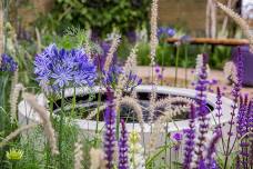 Gardening for Health and Wellbeing