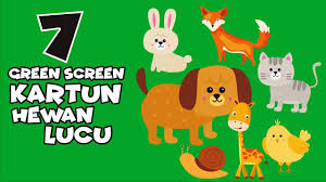 Nah, di bawah ini ada bermacam gambar hewan, dari yang buas, sangar, lucu dan menggemaskan. Green Screen Kartun Hewan Lucu Animals Green Screen Youtube