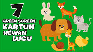 Gambar hewan peliharaan di rumah ini merupakan salah satu foto yang bisa dimasukkan ke dalam kategori gambar hewan peliharaan lucu. Green Screen Kartun Hewan Lucu Animals Green Screen Youtube