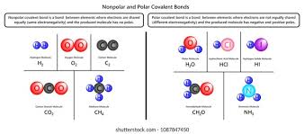 It is known as non polar molecules. Nonpolar Polar Covalent Bonds Infographic Diagram Stock Illustration 1087847450