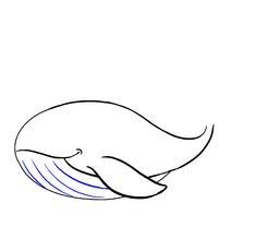 Learn how to draw a funny whale!join our monthly membership and download our app! 29 Best Whale Drawing Ideas Whale Drawing Whale Easy Drawings