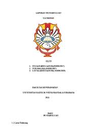 Buku ajar keperawatan paliatif berdasarkan kurikulum aipni 2015. Makalah Konsep Keperawatan Paliatif Dan