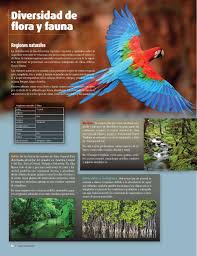 Catálogo de libros de educación básica. Diversidad De Flora Y Fauna Capitulo 2 Leccion 4 Apoyo Primaria