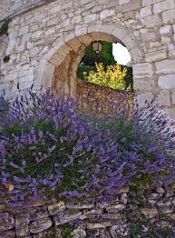 Lavender And Stone Arch Provence Lavenderfields Lavendel Lavendel Pflanzen Garten Lavendel