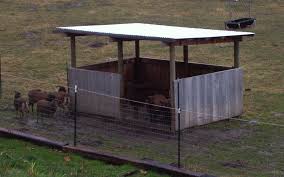 Husbandry General Requirements Goat Shelter Sheep Shelter Livestock Shelter