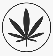 Copy the instagram profile link/url. Graphic Stock Goodies Cool Weed Instagram Profile Hd Png Download Transparent Png Image Pngitem