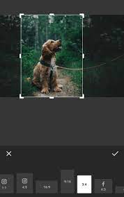 Jun 02, 2020 · the grunge photo filter is one of the most popular photo filters. 35 Free Aesthetic Frames For Instagram Post And Stories Transparent Png Garimashares