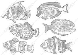Coloring Pages Of 6 Tropical Fishes From Coloringpageexpress Shop Hand Drawn Illustrations Both For Adults An Fish Coloring Page Coloring Books Coloring Pages