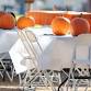 Afternoon of Service – Pumpkin Carving at The Mount! event image
