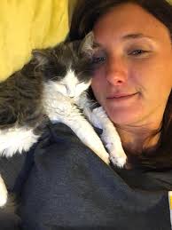 Missing cat named Artemis in Wappapello area