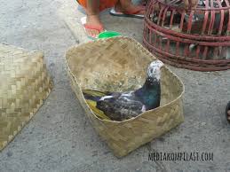 Maybe you would like to learn more about one of these? Permainan Burung Merpati Masih Jadi Favorit Anak Anak
