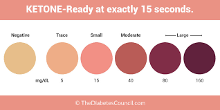 11 Detailed Ketone Test Strip Color Meaning