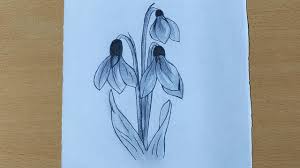And snowdrops are a symbol of hope that reminds us that spring won't be too far off. How To Draw Snowdrop Flower Drawing Spring Flowers Pencil Shading Youtube