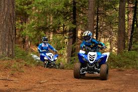 In the power sports segment, it's easy to see why there is sometimes confusion between different types of vehicles. Choosing The Best Atv For Beginners Motosport