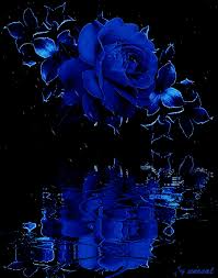 Https Encrypted Tbn0 Gstatic Com Images Q Tbn And9gcrjrj Iqtzaqgpaq1q8a Pzjp2nglkpwhcnkw Usqp Cau
