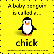 What Do You Call A Baby Penguin Fun Animal Facts For Kids Animal Facts For Kids Fun Facts About Animals Animal Facts