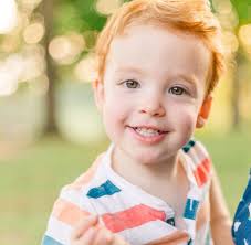 Goldshell Photography