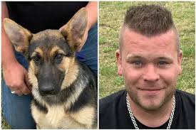 Devoted dog owner paid £500 to get beloved puppy back from thieves