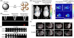 The size, structure and morphology of. Manganese Oxide Nanoparticles As Mri Contrast Agents In Tumor Multimod Ijn