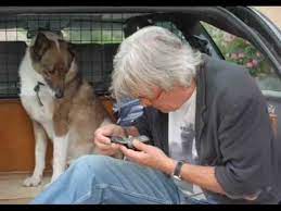 Stylein the pantheon of european cinema, a few names come to mind: Alain Delon Les Chiens Youtube