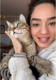 Userannemhesabimbulmus