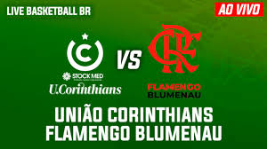 Venha curtir com a gente a semifinal do campeonato brasileiro de basquete entre união corinthians x botafogo. Flamengo Blumenau X Uniao Corinthians Assista Ao Vivo Aqui A Final Do Campeonato Brasileiro De Basquete Live Basketball Br