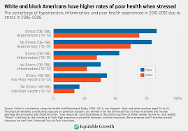 31.01.2017 · health disparities exist in all age groups, including older adults. Linking Racial Stratification And Poor Health Outcomes To Economic Inequality In The United States Equitable Growth