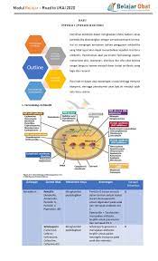Modul belajar ukai 2020 pdf. 5 Bab 1 Infeksi 1 Antibiotik Pages 1 10 Flip Pdf Download Fliphtml5