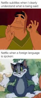 Netflix And This Doesn T Make Me Chill 9gag