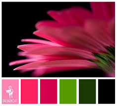Maybe you would like to learn more about one of these? Pin On Coloursss