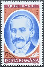 Aron stock image. Image of detail, aron, macro, plant