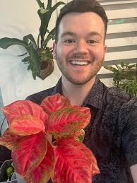 Sol is Red, Bastet has cats, You Guys Rock, Not Canceling that! Happy  Valentines Day!