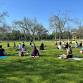 Free: Yoga in the Park - Flow Yoga - Cedar Park, 202 Walton Way #200 Event Image