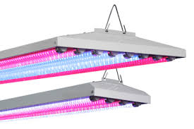 Vivosun 4ft 54w 300k t5 grow light bulb. Sunlight Supply Inc Best Led Grow Lights Greenhouses For Sale Light Emitting Diode