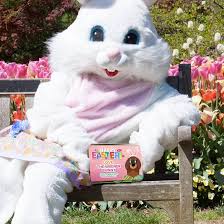 Happy Easter Weener Bunny Dill Dough