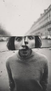 Dead man's fingers fungus in New Jersey