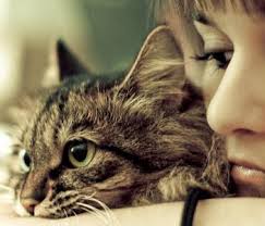 Kedi Bakmanin Puf Noktalari Vetlove