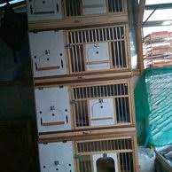 Maybe you would like to learn more about one of these? Jual Kandang Ternak Burung Merpati Love Bird Perkutut Tekukur Atau Lainnya Terlaris Di Lapak Catty Bukalapak
