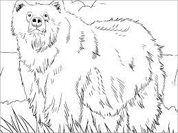 Grizzly bears coloring pages | free coloring pages Alaskan Grizzly Bear Coloring Page Coloringbay