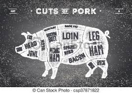 Cut Of Meat Set Poster Butcher Diagram Scheme And Guide Pork Vintage Typographic Hand Drawn Vector Illustration