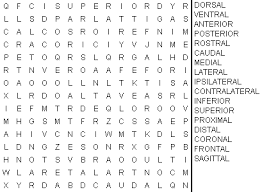 These free printable word searches are the perfect solo activity for a rainy day or if you're just stuck inside for both kids and adults. Https Faculty Washington Edu Chudler Pdf Search Pdf