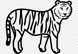 Encontre as melhores imagens de desenhos para colorir para crianças. Livro De Colorir Tigre Leao Pata Fofura Tigre Branco Mamifero Png Pngegg