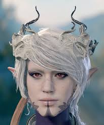 Unlocking Heads for Other Races in Modding