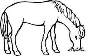 Resultado De Imagen Para Animales Comiendo Para Colorear Coloriage Cheval Coloriage Cheval A Imprimer Cheval A Imprimer