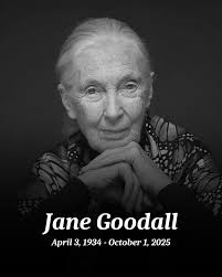 Trump's Midterm Strategy: Will He Rig the System Again?