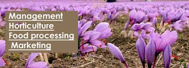 Maybe you would like to learn more about one of these? Organic Dried Herbs Wholesale Bulk Herb Supplier Mehwerteas