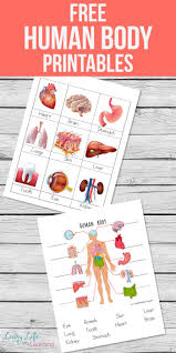 Human Body Printables For Kids Human Body Activities Human Body Printables Free Human Body