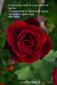 Le Frasi Piu Belle Da Facebook L Ottimista E Il Pessimista Citazioni Sulla Natura Kahlil Gibran Rosa Rossa