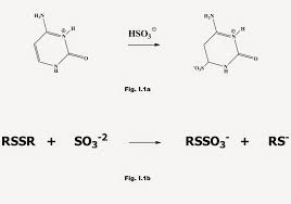 Food Preservatives Sulfites And So2 Chemistry Preserves Sulfites In Wine
